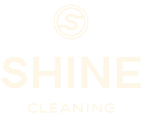 shine_cleaning_3